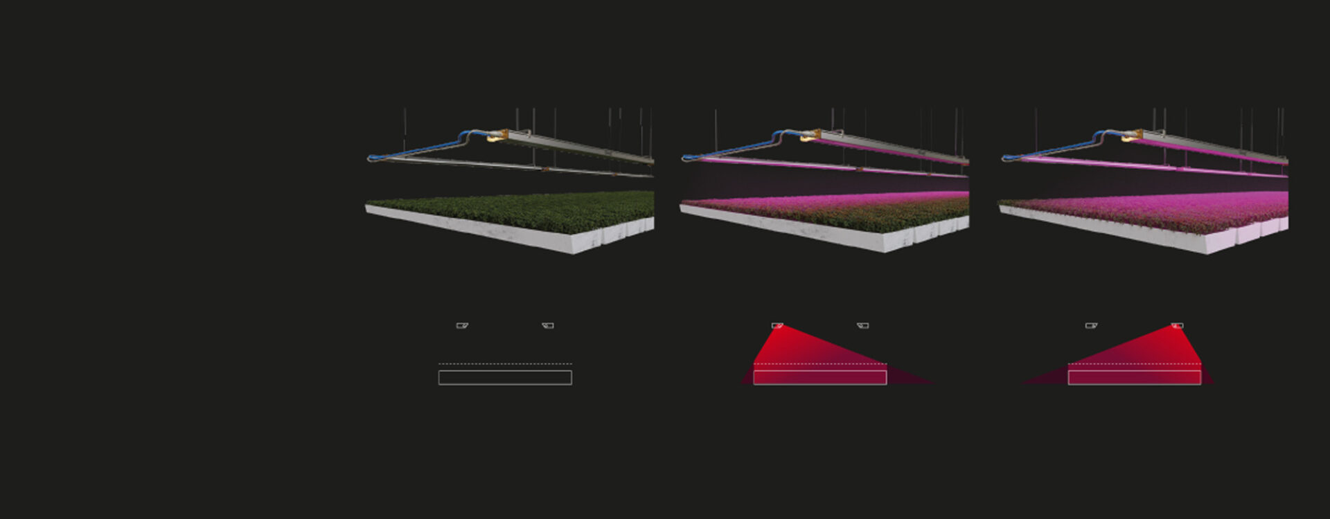 vertilled_uniformity_2fixtures_1